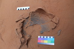 A nearly intact pot from the site of Jakobo is a stylistic match to the earliest ceramics in southeastern Africa.