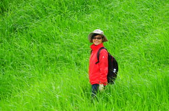 Dr. Shixia Yang in the field.