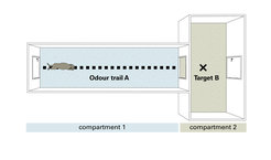 Diagram of the test rooms.