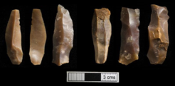 Characteristic Iberomaurusian microlithic tools from from Grotte des Pigeons