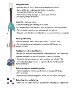 Crucial aspects of a palaeoproteomics workflow, from sample selection to data sharing.