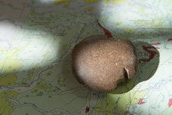 An ancient stone axe used in agriculture.