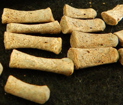 Nahaufnahme der Fingerknochen von Individuum 94A, einem sechs Monate alten Kind, das mit Syphilis infiziert war. Das Skelett weist charakteristische Zeichen einer Erkrankung durch Treponema-Bakterien auf.