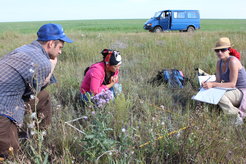 The team collects isotopic data from contemporary vegetation on the open steppe to construct isotopic landscapes, or isoscapes, to explore variation in the underlying floral biome.
