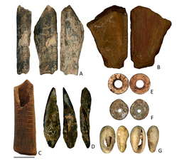 Cultural Innovations in the Middle and Later Stone Age of East Africa: Panga Ya Saïdi, Kenya - Preliminary results