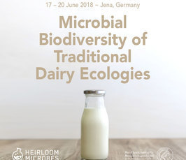Microbial Diversity of Traditional Dairy Ecologies