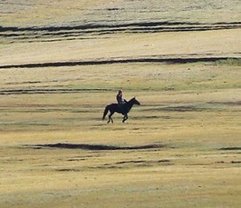 Microbes on the Move - "Dairying Diversity and Food Sovereignty on the Eurasian Steppes"