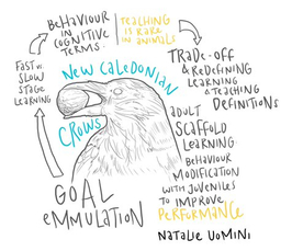 The Spectrum of Teaching in Humans and Other Animals - Virtual Workshop The Spectrum of Teaching in Humans and Other Animals - Virtual Workshop