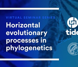 The Darwinian fitness of extrachromosomal genetic elements