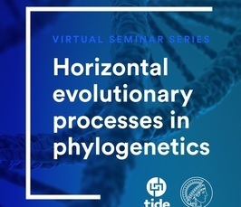 A Bayesian phylogenetic model with horizontal transfer for language evolution