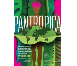 Pantropica: an investigation of geographical and temporal diversity in human ‘rainforest prehistories’